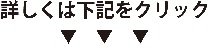 詳しくは小